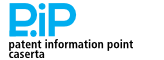 logo pip